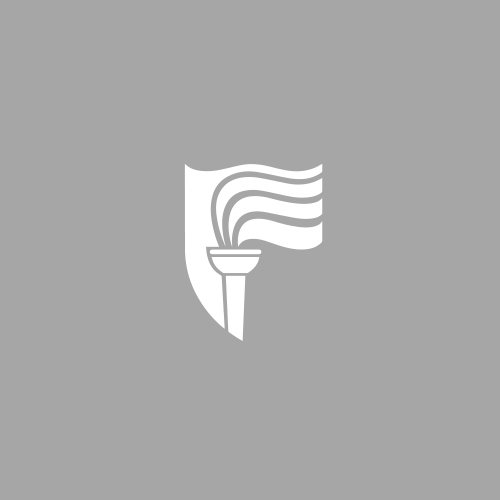 Vidyaship Logo on Grey-HomePgLanding
